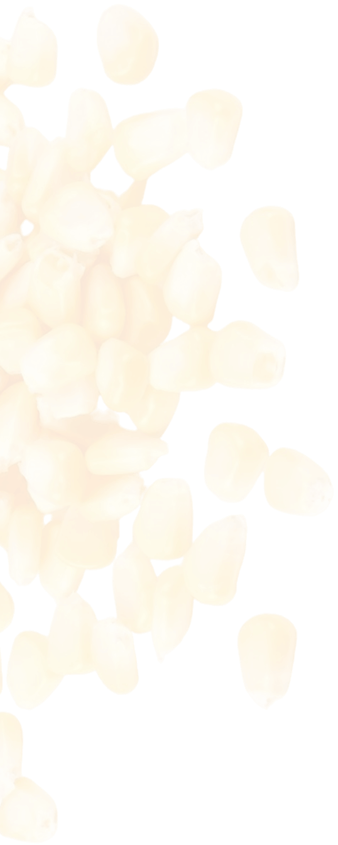 shape