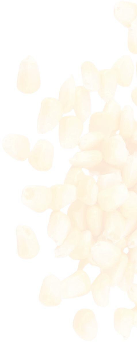 shape