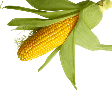 Dominion Agri Inc.