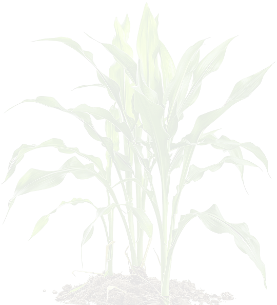 Dominion Agri Inc.