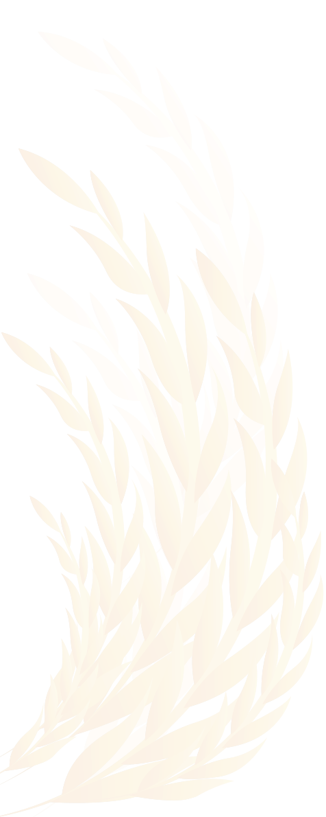 shape